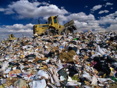 Мусор. Фото: medialeaks.ru