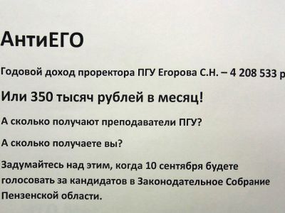Листовка против Егорова. Фото: Александр Воронин, Каспаров.Ru
