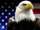 Флаг США и орлан с герба. Иллюстрация: www.zmescience.com
